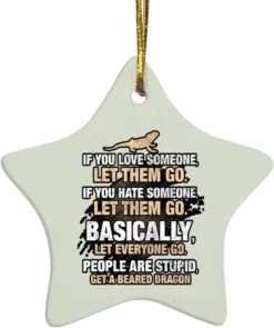 Obtenir Un Bearded Dragon Reptile Apparel Ornement De Noël -Oui || N/A || pearhead 511OVoXGU2L. AC SL1000