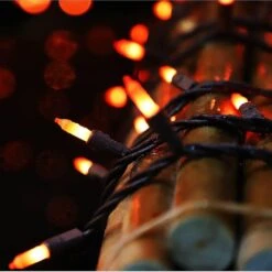 LAMPHOME Super-Bright Extensible Orange Halloween Lumières Décoration 100Lights 19.6ft UL Certifié Mini Ampoule Chaîne Lumières Ensemble Pour L'extérieur Halloween Maison Arbre De Noël Jardin Fête De Vacances Patio Décor -Oui || N/A || pearhead 519yW3AGZyL. AC SL1004