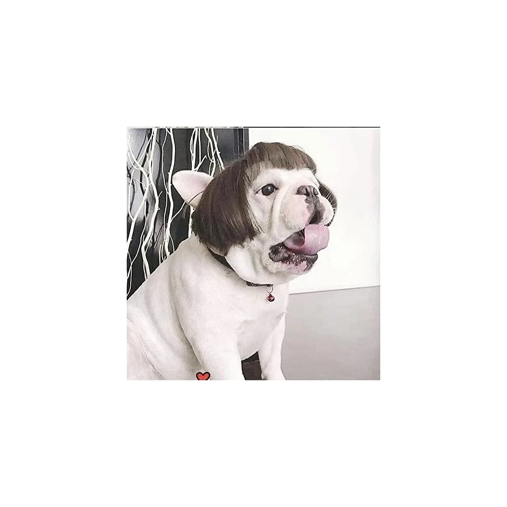 Funny Dog Cat Cosplay Perruque, Perruques Pour Animaux De Compagnie, Pour Halloween, Noël, Fêtes, Festivals, Perruques Pour Chiens Small Medium And Large Dogs 4 Funny Dog Cat Cosplay Perruque, Perruques Pour Animaux De Compagnie, Pour Halloween, Noël, Fêtes, Festivals, Perruques Pour Chiens Small Medium And Large Dogs - Image 2