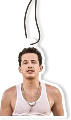 La Carte De Suspension De Reniflard PABUKU Lavender Scent Offre Un Parfum De Longue Date Pour Les Accessoires De Voiture Ou De Voiture à Domicile Décoration De Chambre Cadeau De Noël Voiture De Reniflard à Air Cadeaux De Fête Ami Cadeau Charlie Puth Fans Cadeau
