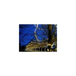 Lumières De Nouveauté 50 Lumières De Noël LED Commerciales ( Blanc Chaud ), 11 Pieds Avec Un Espacement Des Ampoules De 2,5 Pouces, Ampoules De 5 Mm, Listées UL, Lumières De Cordes De Fil Brun -Oui || N/A || pearhead 51UVTXnZjwL. AC SR10001000