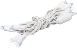 Nouveauté Lumières 10 Lumière LED Noël Mini Light Set, Rideau Extérieur Couronne Artisanat Bouteille Chaîne Lumières, Blanc Pur, Non-Connectable, Fil Blanc, 5 Pieds