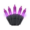 MULTI-SPARKING Violet Halloween Lumières (11 Pieds, 35 Count) - Mini Halloween String Lumières Intérieur LED Noir Fil, Lumières De Noël Pour Décorations D'Halloween En Plein Air -Oui || N/A || pearhead 51fnnIV6ibL. AC SR10001000
