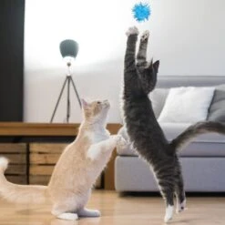 TECH P® 50 Pack 50mm Sparkle Ball Cat Toy Ball Interactive Glitter Pom Pom Cat Toy Balls Pour Chatons, Fête De Noël Décorations De Noël -Oui || N/A || pearhead 51sNgy9SLL. AC SL1000