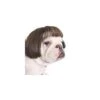 Funny Dog Cat Cosplay Perruque, Perruques Pour Animaux De Compagnie, Pour Halloween, Noël, Fêtes, Festivals, Perruques Pour Chiens Small Medium And Large Dogs