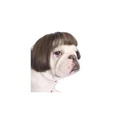 Funny Dog Cat Cosplay Perruque, Perruques Pour Animaux De Compagnie, Pour Halloween, Noël, Fêtes, Festivals, Perruques Pour Chiens Small Medium And Large Dogs