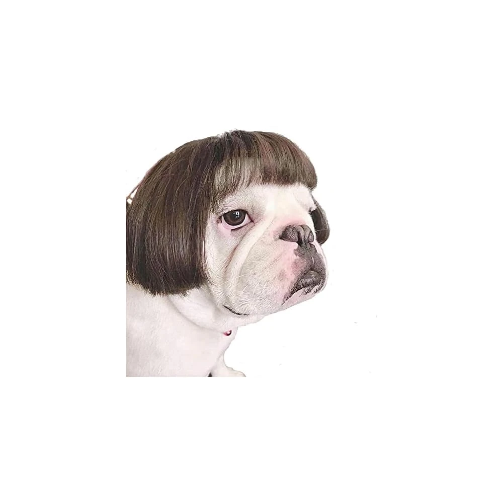 Funny Dog Cat Cosplay Perruque, Perruques Pour Animaux De Compagnie, Pour Halloween, Noël, Fêtes, Festivals, Perruques Pour Chiens Small Medium And Large Dogs 3 Funny Dog Cat Cosplay Perruque, Perruques Pour Animaux De Compagnie, Pour Halloween, Noël, Fêtes, Festivals, Perruques Pour Chiens Small Medium And Large Dogs