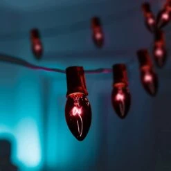 Feux De Chaîne De Noël Noir Abeja C9, Feux De Noël Vintage 25Ft Avec 26 Ampoules Violettes Noires ( 1 Pièce De Rechange ), Feux De Chaîne De Terrasse Connectables Pour Décor De Vacances De Toit De Noël Patio, Fil Noir 12 Feux De Chaîne De Noël Noir Abeja C9, Feux De Noël Vintage 25Ft Avec 26 Ampoules Violettes Noires ( 1 Pièce De Rechange ), Feux De Chaîne De Terrasse Connectables Pour Décor De Vacances De Toit De Noël Patio, Fil Noir -Oui || N/A || pearhead 51uqhtdlKqL. AC SL1500