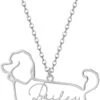 Personnalisé Chien Chat Pet Collier Pour Femmes, Personnalisé Chien Cadeaux, Personnalisé Pet Mémorial Cadeaux, Personnalisé Chat Mémorial Cadeaux, Cadeau D'anniversaire Cadeau De Noël Pour Les Femmes -Oui || N/A || pearhead 51x6E0RKhzL. AC UL1500