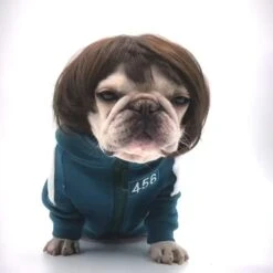 Funny Dog Cat Cosplay Perruque, Perruques Pour Animaux De Compagnie, Pour Halloween, Noël, Fêtes, Festivals, Perruques Pour Chiens Small Medium And Large Dogs 14 Funny Dog Cat Cosplay Perruque, Perruques Pour Animaux De Compagnie, Pour Halloween, Noël, Fêtes, Festivals, Perruques Pour Chiens Small Medium And Large Dogs -Oui || N/A || pearhead 610ihSK0aFL. AC SL1500