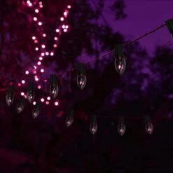 CHYParty C7 Halloween Lumières, 25Ft Noir Violet Incandescent Halloween En Plein Air String Lumières, Connectable Vintage Lumières De Noël Pour Extérieur Patio Home Party Jardin Jardin Décorations -Oui || N/A || pearhead 6151epFB6HL. AC SL1500