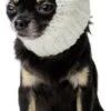 Costume De Chien Zoo Snoods - Wraps D'oreille Sans Rabat Chaud Pour Chiens, Snood De Chien Kungfu Panda, Costume De Petit Chien Pour Halloween, Noël Et Nouvel An, Couvercles D'oreille Silencieuse Pour Chien De Fil Doux ( Petit ) 2 Costume De Chien Zoo Snoods - Wraps D'oreille Sans Rabat Chaud Pour Chiens, Snood De Chien Kungfu Panda, Costume De Petit Chien Pour Halloween, Noël Et Nouvel An, Couvercles D'oreille Silencieuse Pour Chien De Fil Doux ( Petit ) -Oui || N/A || pearhead 617B0qQuKIL. AC SL1200