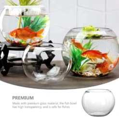 Verre Bubble Bowl Verre Poissons Bols Aquarium Rond Clair Poissons Gardien Fishbowl Golden Fish Tank Vase Pot Pour Fête De Mariage Événement Noël Vacances Décor à La Maison 12 Cm Fish Bowl Vase 13 Verre Bubble Bowl Verre Poissons Bols Aquarium Rond Clair Poissons Gardien Fishbowl Golden Fish Tank Vase Pot Pour Fête De Mariage Événement Noël Vacances Décor à La Maison 12 Cm Fish Bowl Vase -Oui || N/A || pearhead 617aa0q9mnL. AC SL1006