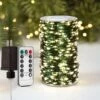ZELUXDOT 100FT Fée Chaîne Lumières Vert Cuivre Fils Extérieur/Intérieur Étanche LED Chaîne Lumières Avec Télécommande Pour Arbre De Noël, Patio, Jardins, Arrière-cour, Plante... 300 LED