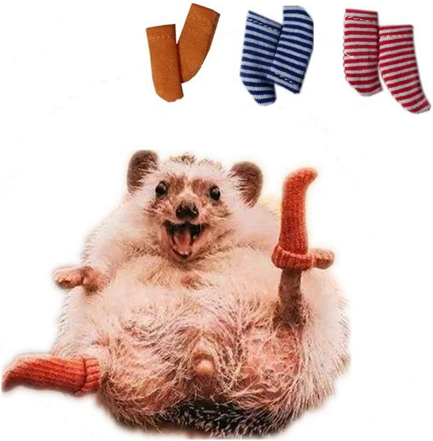 3 Paires Chaussettes Hautes Faites à La Main Pour Jambon De Hérisson Petites Chaussettes Extensibles Pour Animaux Soins Des Ongles Accessoires De Vêtements Pour Vêtements Pour Vêtements De Vêtements Pour Vêtements De Noël Pour La Photo Prop Anniversaire Pour Animaux De Compagnie Cosplay (3 Paires) 3 3 Paires Chaussettes Hautes Faites à La Main Pour Jambon De Hérisson Petites Chaussettes Extensibles Pour Animaux Soins Des Ongles Accessoires De Vêtements Pour Vêtements Pour Vêtements De Vêtements Pour Vêtements De Noël Pour La Photo Prop Anniversaire Pour Animaux De Compagnie Cosplay (3 Paires)