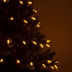 Wintergreen Éclairage 70 C6 Or LED Lumières De Noël Intérieur-Extérieur Noël Cordes Lumières, 24 Ft, Or Lumières De Noël LED Cordes Lumières Pour Chambre Dortoir Lumières -Oui || N/A || pearhead 61GwOJ0eBhL. AC SL1200