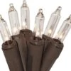612 Vermont 35 Clear Mini Noël String Lights Sur Cordon En Fil Brun, UL Approuvé Pour L'usage Intérieur Seulement, 9 Pieds De Longueur éclairée, 10 Pieds De Longueur Totale -Oui || N/A || pearhead 61JfuFdBReL. AC SL1307 1