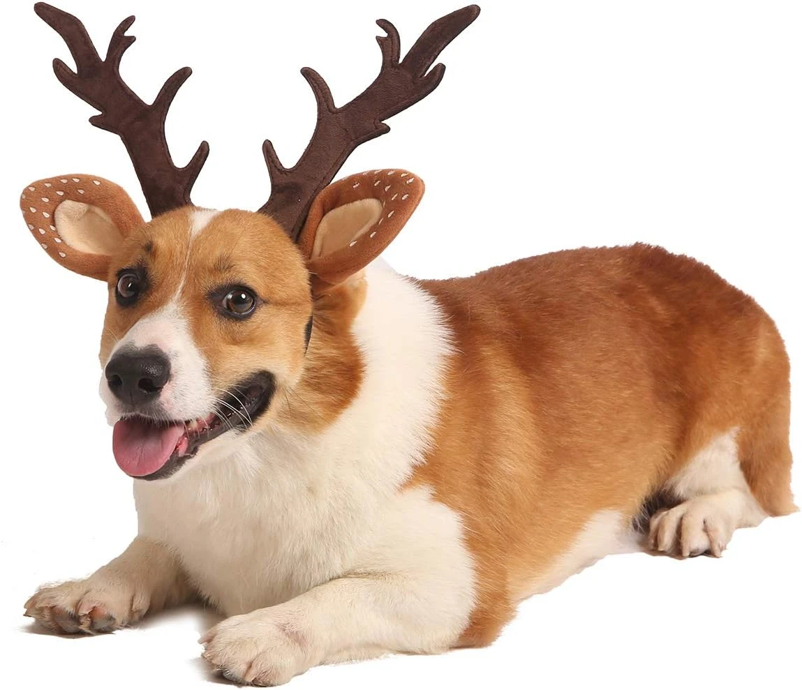 Impoosy Pet Deer Costume Chapeau Joyeux Noël Chien Antlers Bandeaux Élastique Bande Réglable Renne Cap Cheveux Chapeaux Accessoires (Medium) 5 Impoosy Pet Deer Costume Chapeau Joyeux Noël Chien Antlers Bandeaux Élastique Bande Réglable Renne Cap Cheveux Chapeaux Accessoires (Medium) - Image 3