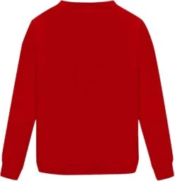 JDHUFEI Femmes Laid De Noël Hoodies Casual Crewneck Sweatshirts Lettre Imprimé À Manches Longues Tops Pullover Lâche Automne Blouse -Oui || N/A || pearhead 61LcGucAKuL. AC UL1500