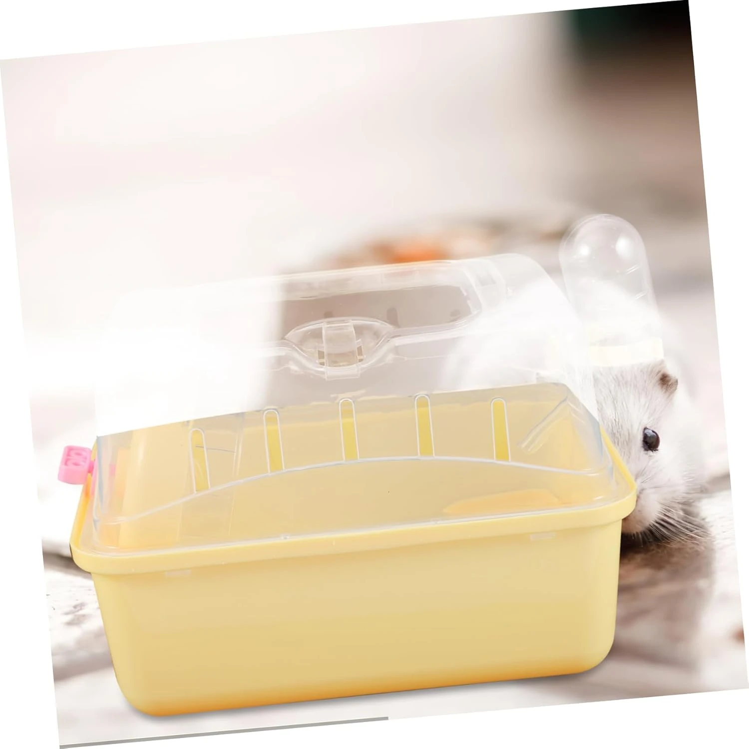 Cochon De Guinée Porc Ménage Hamster Cage Animal De Compagnie Cochon De Guinée En Plastique Voyage Hamster Jouant Boîte De Noël Cookie Jar 7 Cochon De Guinée Porc Ménage Hamster Cage Animal De Compagnie Cochon De Guinée En Plastique Voyage Hamster Jouant Boîte De Noël Cookie Jar - Image 5