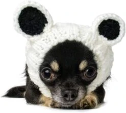 Costume De Chien Zoo Snoods - Wraps D'oreille Sans Rabat Chaud Pour Chiens, Snood De Chien Kungfu Panda, Costume De Petit Chien Pour Halloween, Noël Et Nouvel An, Couvercles D'oreille Silencieuse Pour Chien De Fil Doux ( Petit ) 11 Costume De Chien Zoo Snoods - Wraps D'oreille Sans Rabat Chaud Pour Chiens, Snood De Chien Kungfu Panda, Costume De Petit Chien Pour Halloween, Noël Et Nouvel An, Couvercles D'oreille Silencieuse Pour Chien De Fil Doux ( Petit ) -Oui || N/A || pearhead 61N9 XvwOrL. AC SL1200