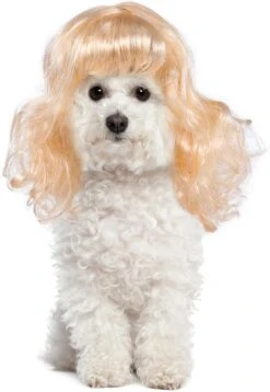 Miayon Chien Chat Cosplay Perruque Longue Blonde Cheveux Bouclés Avec Réglable Élastique Bandes Animaux Perruques Pour Halloween, Noël, Festivals, Pet Cosplay Costumes Accessoires Pour Chien Chat (Blond) -Oui || N/A || pearhead 61QGgu0ixZL. AC SL1500