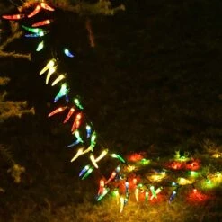 N/A NA Chili Pepper Solar LED String Lights Outdoor, 23ft Pepper Solar Outdoor String Lights Décorations De Noël - 50LEDs Chili Solar Christmas Lights For Tree, Porch, Kitchen Decor -Oui || N/A || pearhead 61ZYvw1ovdL. AC SL1000
