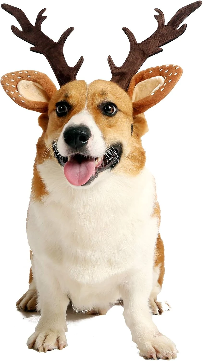 Impoosy Pet Deer Costume Chapeau Joyeux Noël Chien Antlers Bandeaux Élastique Bande Réglable Renne Cap Cheveux Chapeaux Accessoires (Medium) 3 Impoosy Pet Deer Costume Chapeau Joyeux Noël Chien Antlers Bandeaux Élastique Bande Réglable Renne Cap Cheveux Chapeaux Accessoires (Medium)