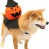 Costumes Pour Chiens HOTMAI, Costume Pour Animaux De Compagnie Brillant Pour La Nuit, Lumières LED Intégrées, Costume Pour Animaux De Noël De Thanksgiving Pour Petits Chiens Et Chats De Taille Moyenne, Accessoires Pour Cosplay De Chiots -00M
