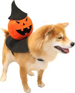 Costumes Pour Chiens HOTMAI, Costume Pour Animaux De Compagnie Brillant Pour La Nuit, Lumières LED Intégrées, Costume Pour Animaux De Noël De Thanksgiving Pour Petits Chiens Et Chats De Taille Moyenne, Accessoires Pour Cosplay De Chiots -00M