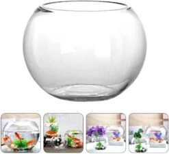 Verre Bubble Bowl Verre Poissons Bols Aquarium Rond Clair Poissons Gardien Fishbowl Golden Fish Tank Vase Pot Pour Fête De Mariage Événement Noël Vacances Décor à La Maison 12 Cm Fish Bowl Vase 17 Verre Bubble Bowl Verre Poissons Bols Aquarium Rond Clair Poissons Gardien Fishbowl Golden Fish Tank Vase Pot Pour Fête De Mariage Événement Noël Vacances Décor à La Maison 12 Cm Fish Bowl Vase -Oui || N/A || pearhead 61aDGe1eFmL. AC SL1004