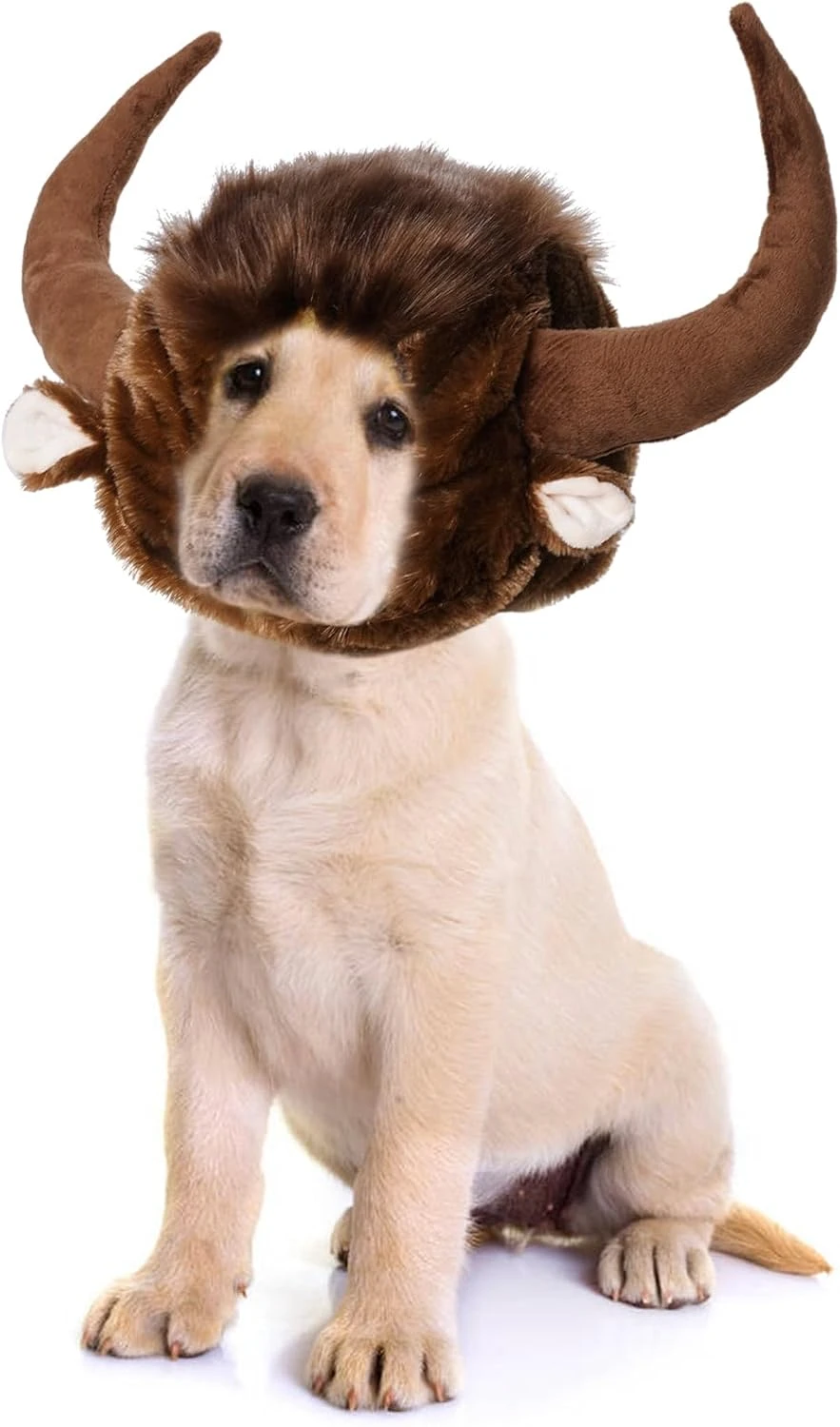Chien Corne Perruque Pour Halloween Noël, Drôle Pet Bull Costumes Pour Chien Chat, Pet Vêtements Accessoires (Size M) 9 Chien Corne Perruque Pour Halloween Noël, Drôle Pet Bull Costumes Pour Chien Chat, Pet Vêtements Accessoires (Size M) – Image 7