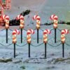 C7 Christmas Pathway String Lights, Set De 8 Marqueurs De Noël Candy Cane Driveway Avec 4 Ampoules C7 Clear, Lumières De Chaîne Imperméables Pour Pathway Decor Outdoor String Lights Décoration -Oui || N/A || pearhead 61bebu7o4qL. AC SL1001