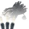 Lumières De Nouveauté 100 Lumières De Noël Incandescentes Commerciales ( Clair ), 34 Pieds Avec Un Espacement Des Ampoules De 4 Pouces, Mini-lumières Traditionnelles Vintage, Listées UL, Lumières De Cordes En Fil Noir -Oui || N/A || pearhead 61elcOvJwRL. AC SL1000