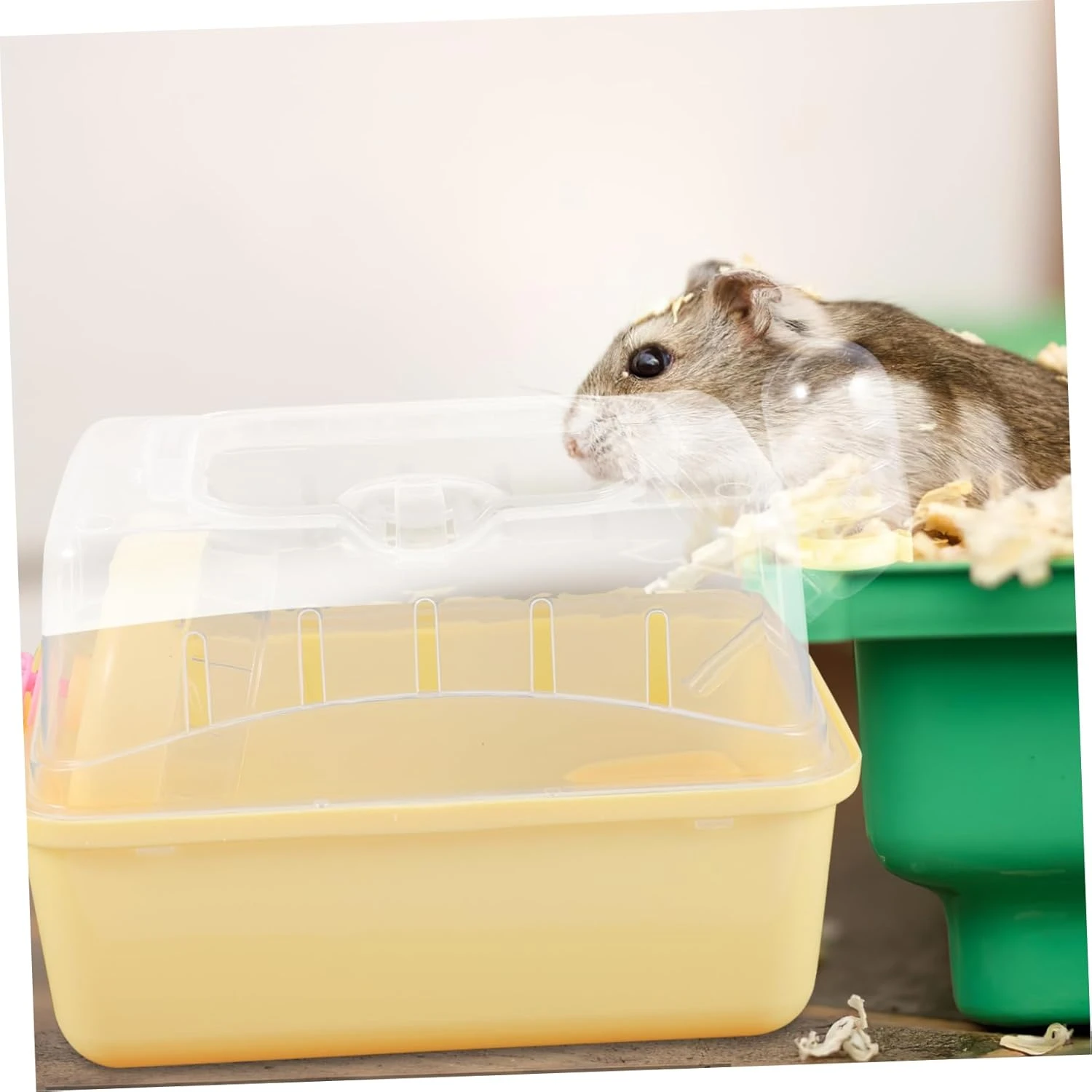 Cochon De Guinée Porc Ménage Hamster Cage Animal De Compagnie Cochon De Guinée En Plastique Voyage Hamster Jouant Boîte De Noël Cookie Jar 5 Cochon De Guinée Porc Ménage Hamster Cage Animal De Compagnie Cochon De Guinée En Plastique Voyage Hamster Jouant Boîte De Noël Cookie Jar - Image 3