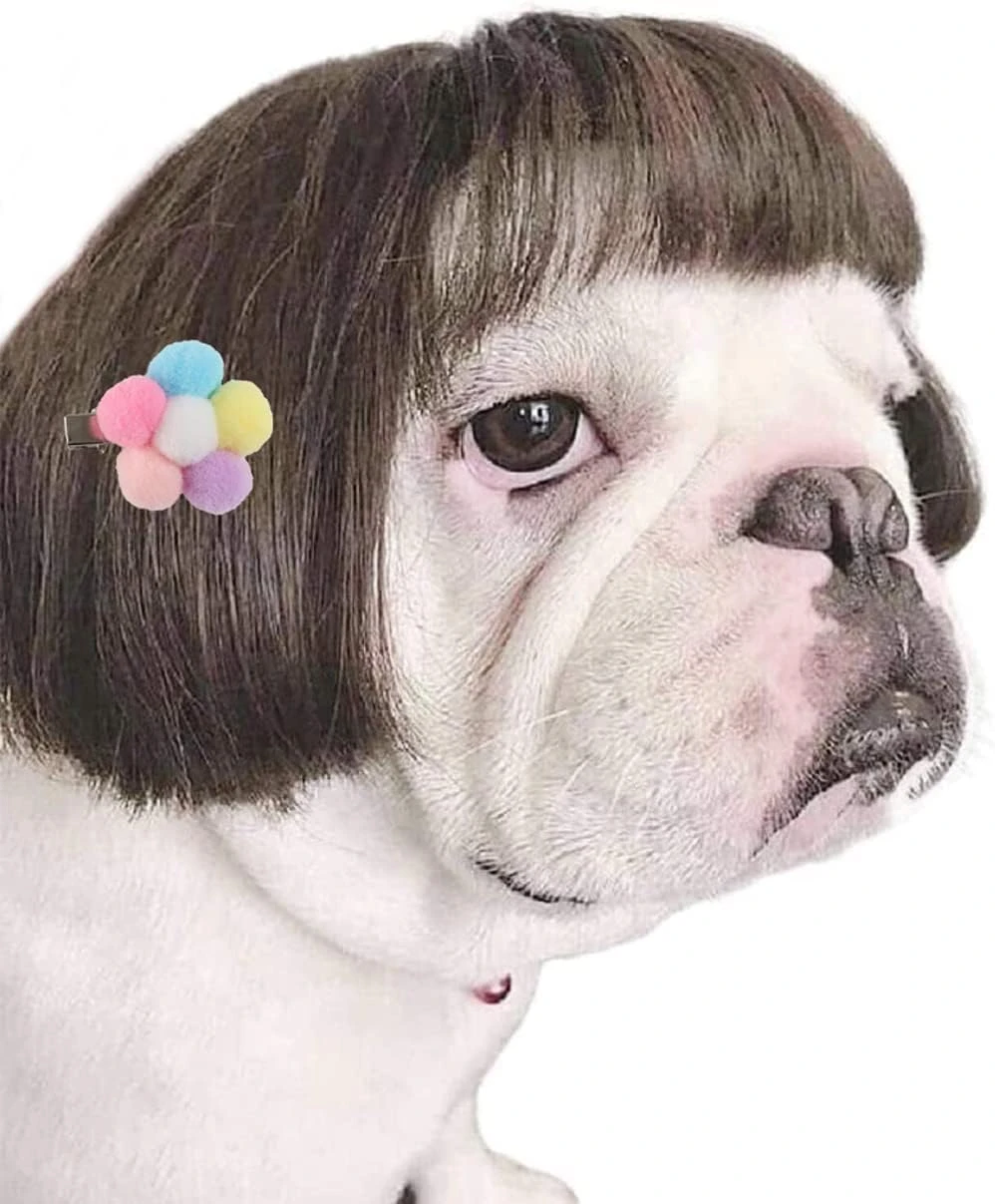 Costume De Perruque Pour Chien Pour Petits Chiens De Taille Moyenne Avec Fleur De Tête, Décoration De Chat De Cosplay Pour Animaux De Compagnie Trimmable Pour Halloween, Noël, Fêtes 4 Costume De Perruque Pour Chien Pour Petits Chiens De Taille Moyenne Avec Fleur De Tête, Décoration De Chat De Cosplay Pour Animaux De Compagnie Trimmable Pour Halloween, Noël, Fêtes - Image 2