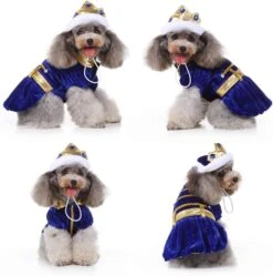 Costume De Chien Prince Costume D'Halloween Pour Petits Chiens Moyens Costume D'animal Avec Couronne En Saphir Pour Halloween Noël Fête D'anniversaire -Oui || N/A || pearhead 61laqhiRR4L. AC SL1001