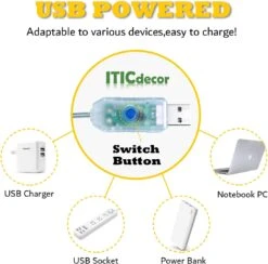 Plug USB ITICdecor Fairy String Light 4Pack 10M100 LED Plug In Copper Wire String Lights Télécommande Pour Chambre Extérieure Intérieure Noël Noël Halloween Party Decorations (blanc Chaud) -Oui || N/A || pearhead 61mFGCGFgpS. AC SL1500