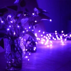Feux De Corde Violette à Piles Abkshine 4pack, Feux De Fée LED Mini Violet Lumineux 50led, Feux D'Halloween à Piles, Feux De Brin Décoratifs De Noël Portables -Oui || N/A || pearhead 61mSUqbPgWL. AC SL1200