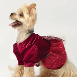 Fitwarm Fantaisie Chien Tenue De Noël, Chien Tulle Robe, Chien Vêtements D'hiver Pour Petits Chiens Fille, Vêtements Chat, Velours Léger, Bourgogne Rouge, XXS -Oui || N/A || pearhead 61nEADVKFL. AC SL1000