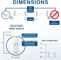 Nouveauté Lumières 10 Lumière LED Noël Mini Light Set, Rideau Extérieur Couronne Artisanat Bouteille Chaîne Lumières, Blanc Pur, Non-Connectable, Fil Blanc, 5 Pieds -Oui || N/A || pearhead 61qxZJLWSIL. AC SL1500