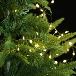 Oui || N/A || pearhead -Oui || N/A || pearhead 61s3aqoEXvL. AC SL1001