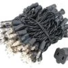 Lumières De Nouveauté Luminaires De Cordes De Noël Incandescentes Claires - Ensemble De Lumière Intérieur / Extérieur Répertorié UL Avec 100 Mini Ampoules Pour Arbre De Noël, Terrasse, Décoration De Mariage Et Plus - ( Fil Noir, 22 'long ) -Oui || N/A || pearhead 61tllPE17tL. AC SL1000