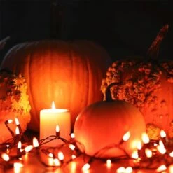 CARETHYS 2 Séries De 100 Compte Clair Fil Vert Halloween Lumière, Huit Modes, Orange & Violet Lumières Pour Intérieur Ou Extérieur Décorations De Noël, Batterie Alimenté 13 CARETHYS 2 Séries De 100 Compte Clair Fil Vert Halloween Lumière, Huit Modes, Orange & Violet Lumières Pour Intérieur Ou Extérieur Décorations De Noël, Batterie Alimenté -Oui || N/A || pearhead 61whh078jdL. AC SL1200