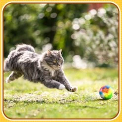 20 Pcs Noël Chat Balle Jouet Kitty Fils Puffs Assortiment Couleur Petit Chat Jouet Peluche Kitty Boules Douces Chat Pom Pom Boules Fuzzy Kitty Boules Pour Pet Chat Chaton Kitty 1.6 Pouce En Diamètre -Oui || N/A || pearhead 710y6BQTRiL. AC SL1500