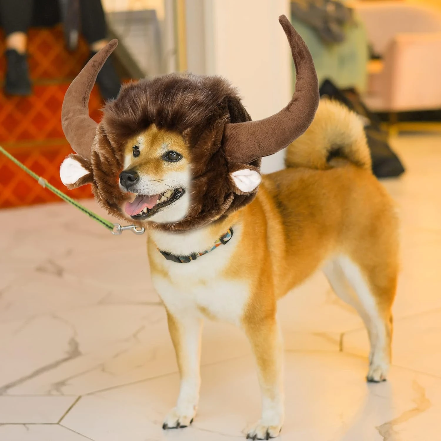 Chien Corne Perruque Pour Halloween Noël, Drôle Pet Bull Costumes Pour Chien Chat, Pet Vêtements Accessoires (Size M) 8 Chien Corne Perruque Pour Halloween Noël, Drôle Pet Bull Costumes Pour Chien Chat, Pet Vêtements Accessoires (Size M) – Image 6