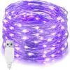 EvaStary 33 Ft 100 LED Fées Lumières, USB Alimenté Violet Fée Chaîne Lumières, Décoratif Fil D'argent Firefly Lumières Pour Chambre Intérieur Décor De Noël En Plein Air -Oui || N/A || pearhead 718LvPqgFjL. AC SL1500