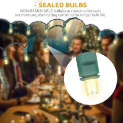 AIDDOMM 50 Comtes Luminaires De Noël LED Blanc Chaud – 25ft 5mm Luminaires De Noël Blancs Extérieur Grade Commercial Imperméable, Lumières De Cordes Blanches D'extérieur, Mini Lumières D'arbre En Fil Vert, UL, IP: 65 -Oui || N/A || pearhead 71BPNCJwIZL. AC SL1500