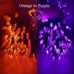 CARETHYS 2 Séries De 100 Compte Clair Fil Vert Halloween Lumière, Huit Modes, Orange & Violet Lumières Pour Intérieur Ou Extérieur Décorations De Noël, Batterie Alimenté 10 CARETHYS 2 Séries De 100 Compte Clair Fil Vert Halloween Lumière, Huit Modes, Orange & Violet Lumières Pour Intérieur Ou Extérieur Décorations De Noël, Batterie Alimenté -Oui || N/A || pearhead 71Cj6w0wNxL. AC SL1200