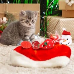 Jouets De Chat De Noël JUPSK 10 Pièces, Bas De Noël Avec Baguette De Chat Et Boules De Jouets, Jouet De Mastic Interactif De Noël Pour Chaton De Chats D'intérieur -Oui || N/A || pearhead 71EYrh0zSTL. AC SL1500